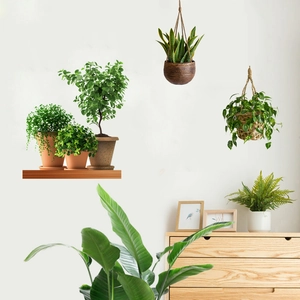 Detailed wall sticker layout featuring hanging baskets and potted greenery on white wall