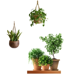 Self-adhesive wall stickers featuring hanging baskets and green potted plants for living room