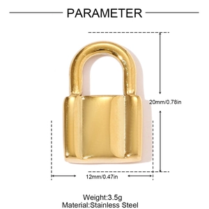 Gedetailleerd beeld van gouden roestvrijstalen hangslot hanger van 20x12mm