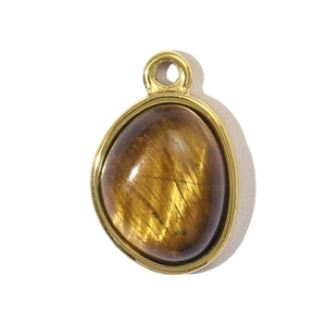 Macro detail of oval tiger eye stone pendant with polished gold metal edging on white base