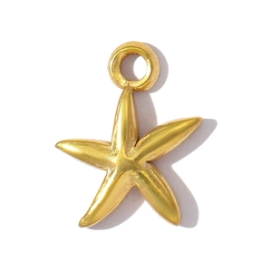Gouden zeester hanger van roestvrij staal met getextureerd oppervlak en ringoog