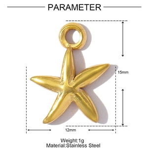 Macro-opname van een 15mm gouden zeester hanger in roestvrij staal met details