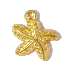 Gedetailleerde macro-opname van een gouden zeester hanger met stippenstructuur en oog