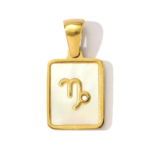 Macro shot of Capricorn zodiac pendant with shell inlay and golden stainless steel frame