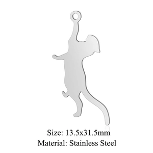 Detailweergave van katvormige roestvrijstalen hanger met afmetingen van 13,5x31,5mm