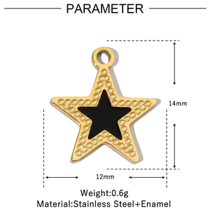 Detailed parameter view of a gold-beaded star pendant with black enamel inlay