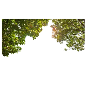 Lush green tree branches and leaves wall sticker for bedroom living room decor