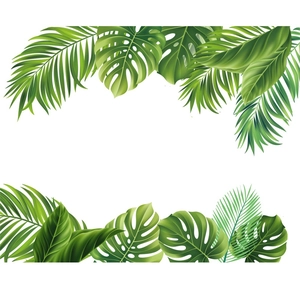 Tropical monstera and palm leaf wall stickers for a fresh living room and bedroom decor
