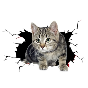 3D wall sticker featuring a tabby cat peeking out from a white wall hole decor
