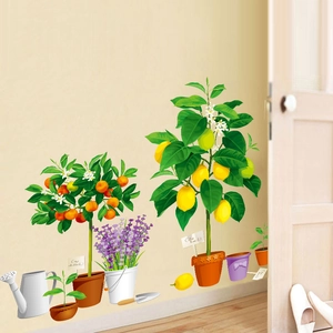 Garden wall decals with orange and lemon trees lavender and succulent plants