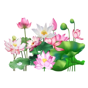 Dettaglio adesivo murale con fiori di loto rosa foglie verdi e baccelli di loto