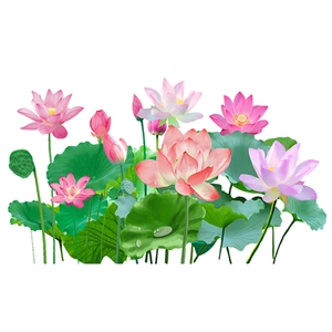 Dettaglio di fiori di loto rosa e foglie verdi con gocce d'acqua realistiche