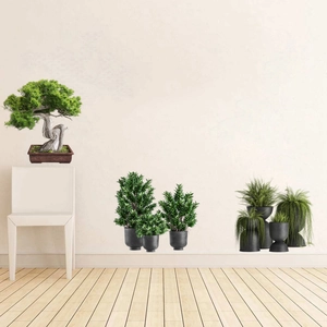 Detail of indoor decorative potted plants with Chinese bonsai and minimalist green greenery