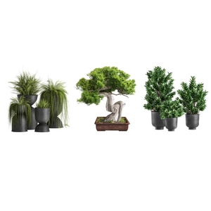 Artificial potted pine tree and hanging green plants set with realistic foliage and stems