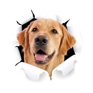 Detail of creative 3D golden retriever wall sticker with torn paper visual effect