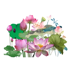 Dettaglio di adesivi murali con fiori di loto rosa, foglie e una libellula