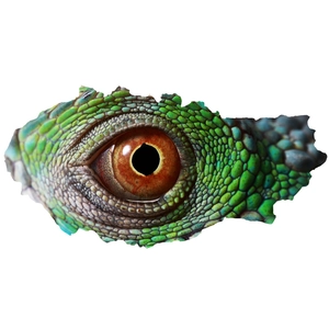 Close-up of realistic 3D broken wall decal featuring green lizard eye with detailed scales