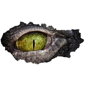 Macro detail of 3D realistic lizard eye wall sticker with green pupil and grey scales