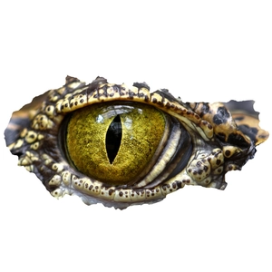 Macro detail of realistic 3D dinosaur eye wall sticker with textured yellow lizard scales