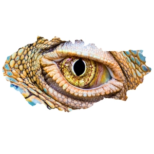 Macro detail of realistic 3D dinosaur eye wall sticker with textured scales and torn edge effect