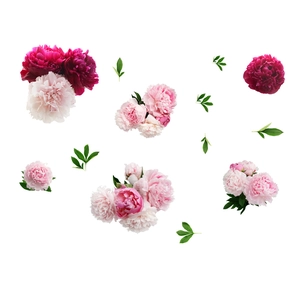 Self-adhesive peony flower wall stickers in pink and white with green leaves for home decor