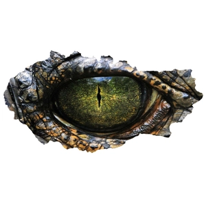 Macro detail of 3D broken wall effect wall sticker featuring realistic reptile eye textures