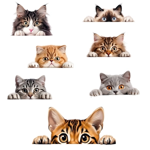 Set of 7 realistic cat wall stickers featuring various breeds peeking over edges