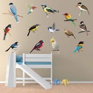 Colorful realistic bird wall decals featuring parrots and magpies for children's room
