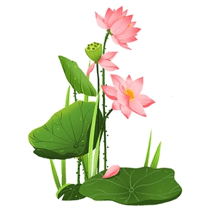 Pink lotus flowers and green leaves wall sticker for living room and bedroom decor
