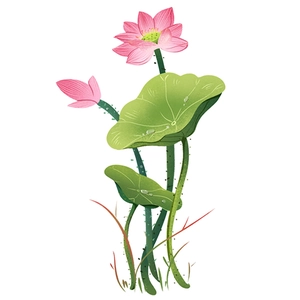 Pink lotus flower wall sticker with green leaves and water drops for home decor