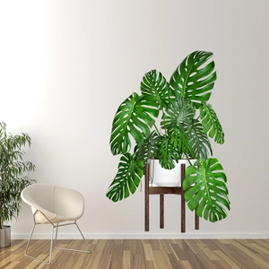 Nordic monstera deliciosa potted plant with white ceramic pot and wooden tripod stand