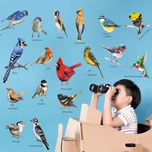 Educational wall stickers featuring 16 colorful hand-drawn bird species with English names