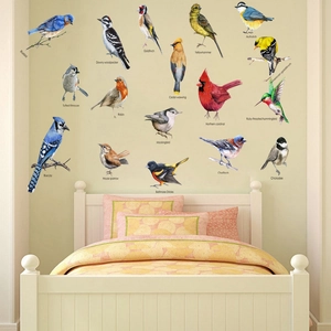 Educational wall stickers featuring 17 bird species illustrations for bedroom decor