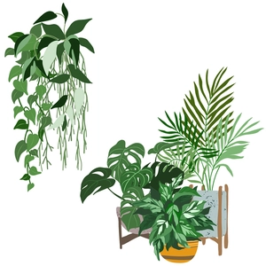 Flat vector wall stickers featuring hanging ivy and potted monstera plants on white background