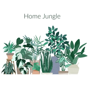 Home Jungle Nordic wall stickers with green potted plants Monstera and leaf patterns