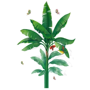 Tropical banana tree wall sticker with green leaves, hummingbirds and butterflies