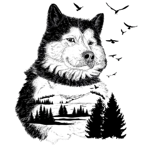 Artistic double exposure wall sticker showing a wolf silhouette with snow mountain and forest