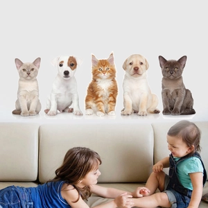 Detail view of 5 realistic puppy and kitten wall stickers applied in a cozy home living room