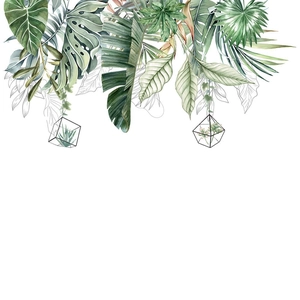Nordic tropical watercolor wall stickers with monstera and palm leaves in frames