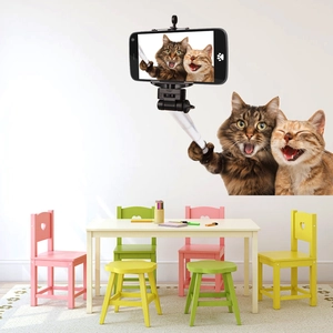 Self-adhesive 3D cat selfie wall sticker with two funny cartoon cats for kids room