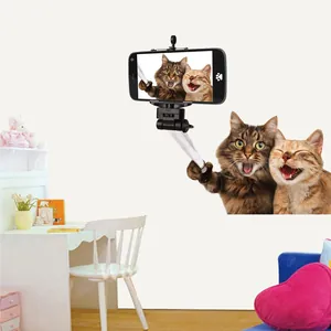 Funny self-adhesive wall sticker featuring two cartoon cats taking a selfie on white wall