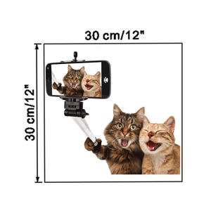 Detail showing 12x12 inch dimensions for funny self-taking selfie cats wall sticker