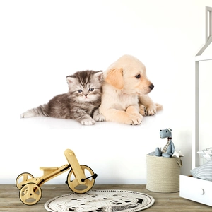 3D realistic wall decal featuring a grey tabby kitten and golden puppy for kids room decor