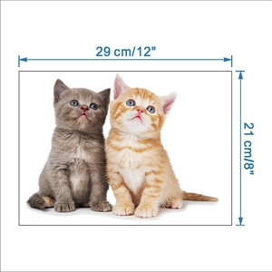 Detail view of 3D cat wall sticker dimensions showing 29cm width and 21cm height