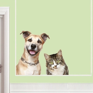 3D wall sticker featuring a realistic dog and cat peeping from a white wall edge