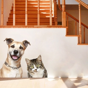 3D realistic cat and dog wall stickers showing a brown dog and tabby cat on white wall