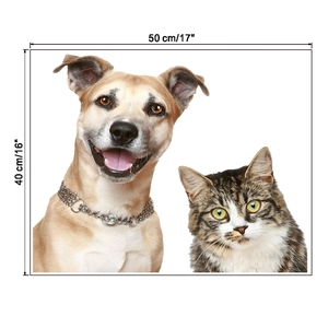 50x40 cm size guide for 3D self-adhesive cat and dog wall decals for home decoration