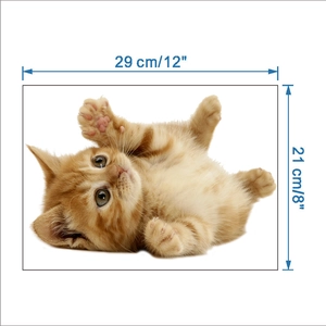 Specifiche dettagliate sulle dimensioni per adesivo murale gattino arancione 29x21 cm