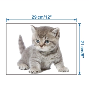 Dettaglio dimensioni 29x21 cm dell'adesivo da parete con gattino grigio tigrato