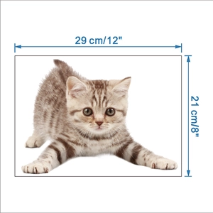 Dettaglio dell'adesivo da parete gatto soriano misura 29 cm di larghezza per 21 cm di altezza